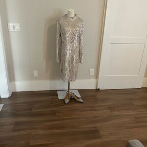 Eliza J Sequin Long Sleeve Dress in Silver and Cream